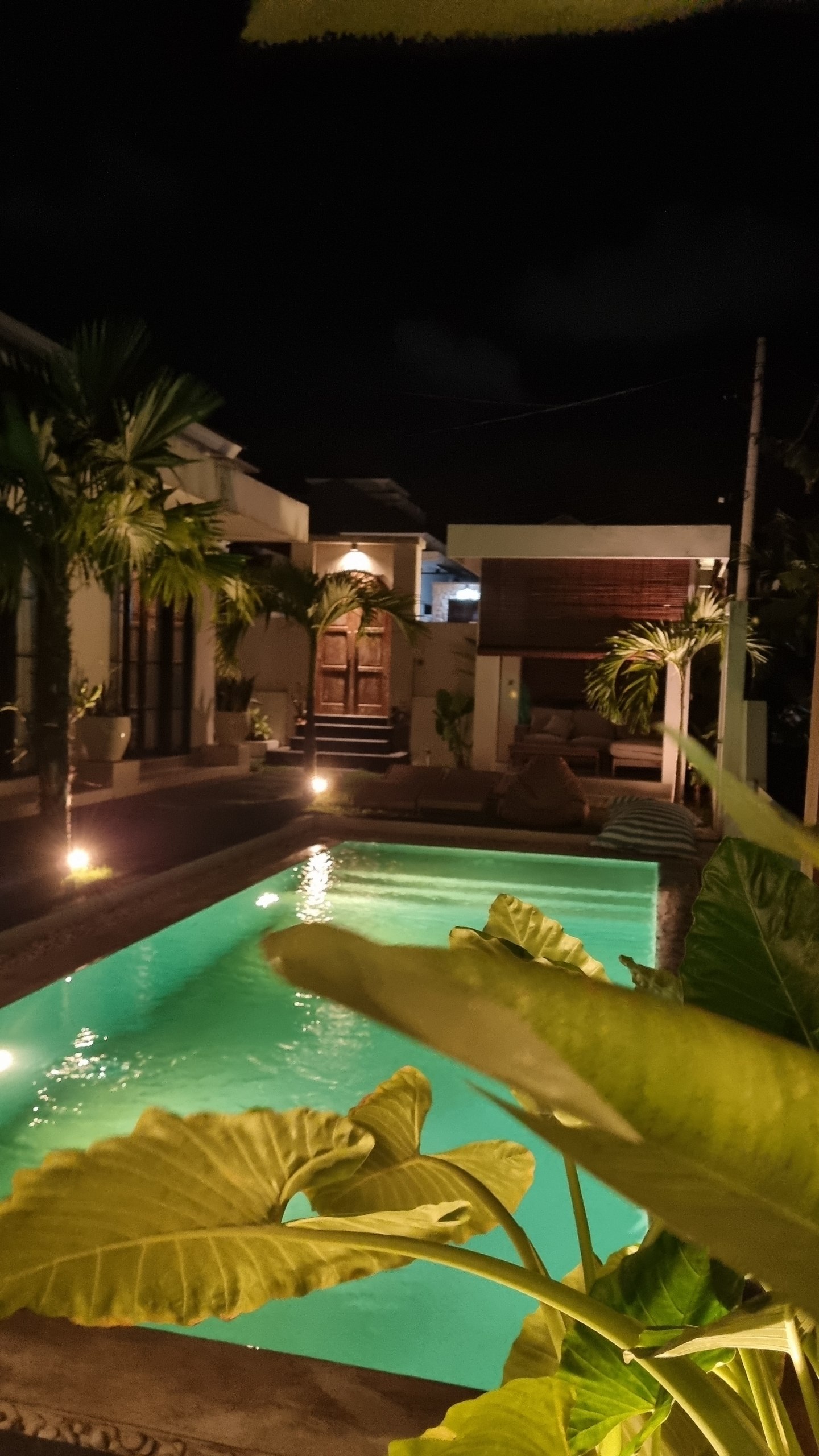 Turquoise pool lit at night behind large tropical leaves